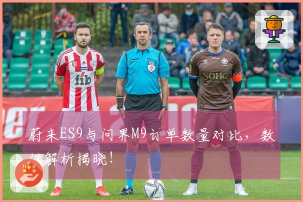 蔚来ES9与问界M9订单数量对比，数据解析揭晓！