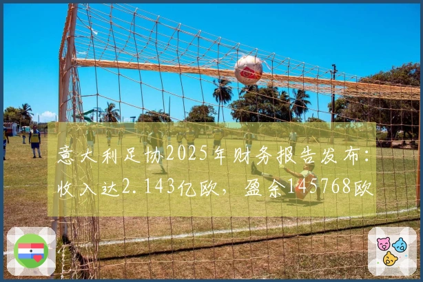 意大利足协2025年财务报告发布：收入达2.143亿欧，盈余145768欧